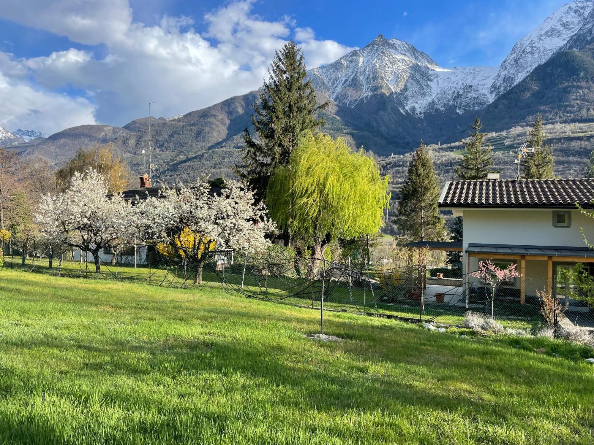 La Casina Di Oscar Ad Ao V Combe Vda Quart 0014 E 00I6公寓 外观 照片