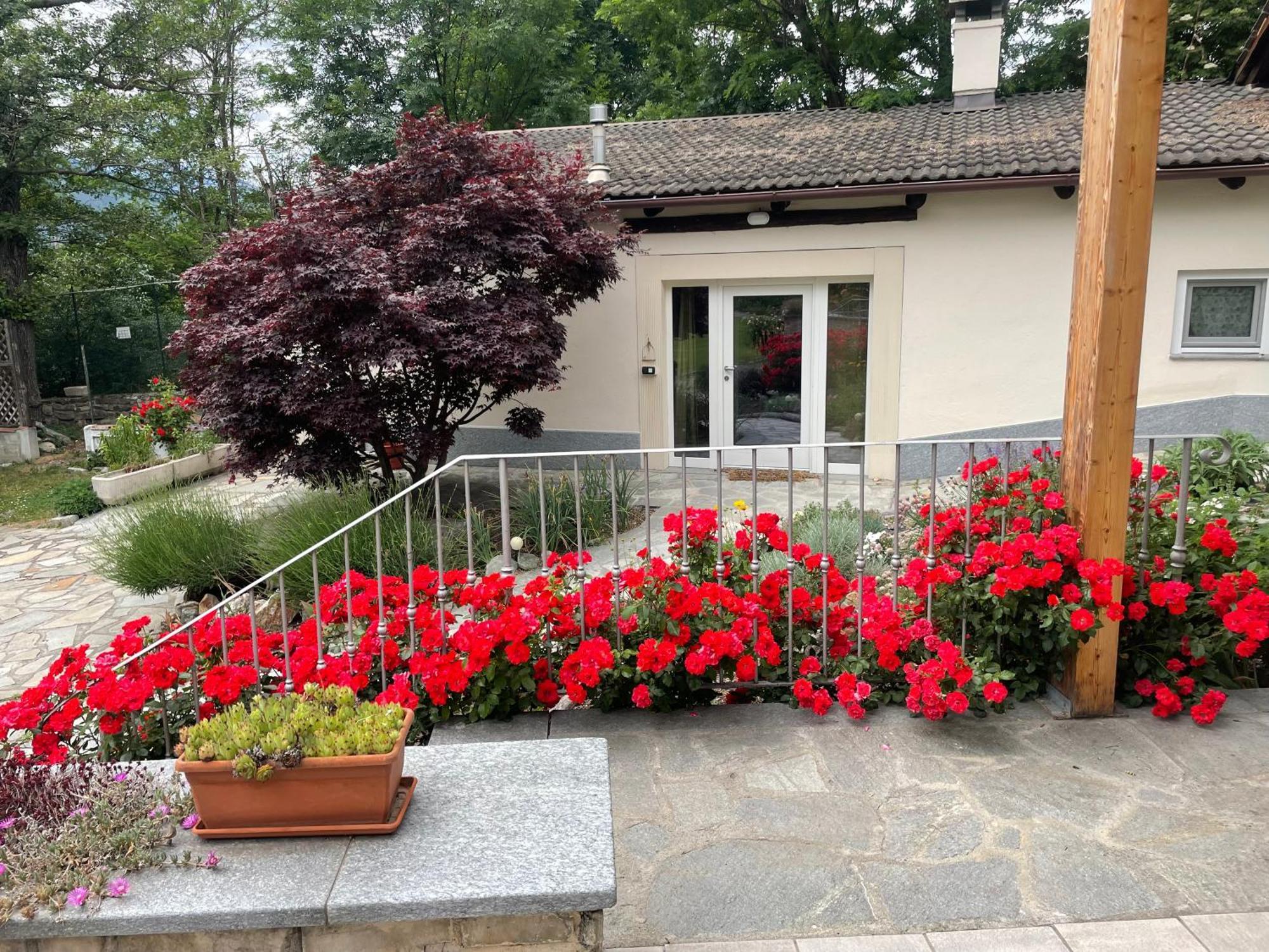 La Casina Di Oscar Ad Ao V Combe Vda Quart 0014 E 00I6公寓 外观 照片
